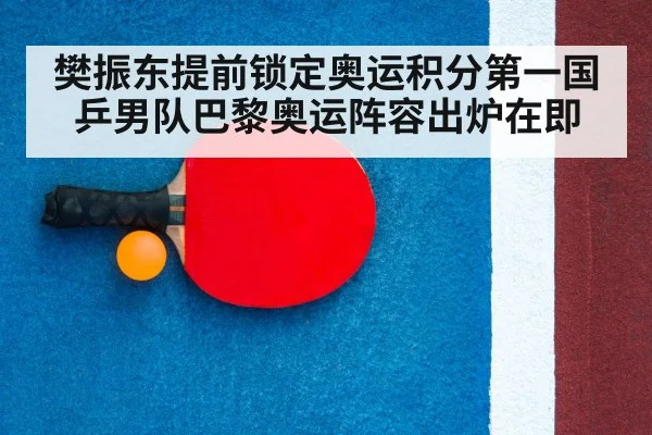 table tennis racket closeup